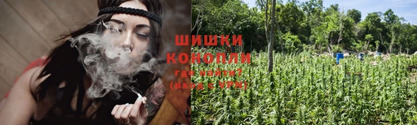 гидропоника Алзамай