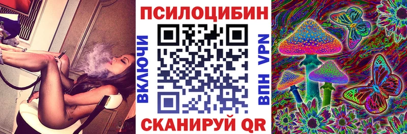 Псилоцибиновые грибы Psilocybe  Каменногорск 