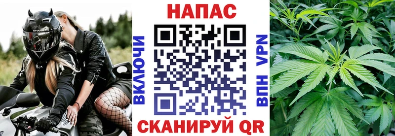 купить наркотики сайты  Каменногорск  МАРИХУАНА Ganja 